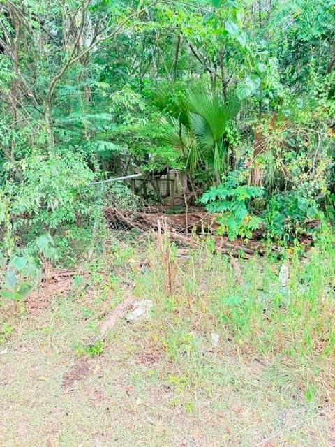 5231 SE 29th Ct., Ocala, FL 34480