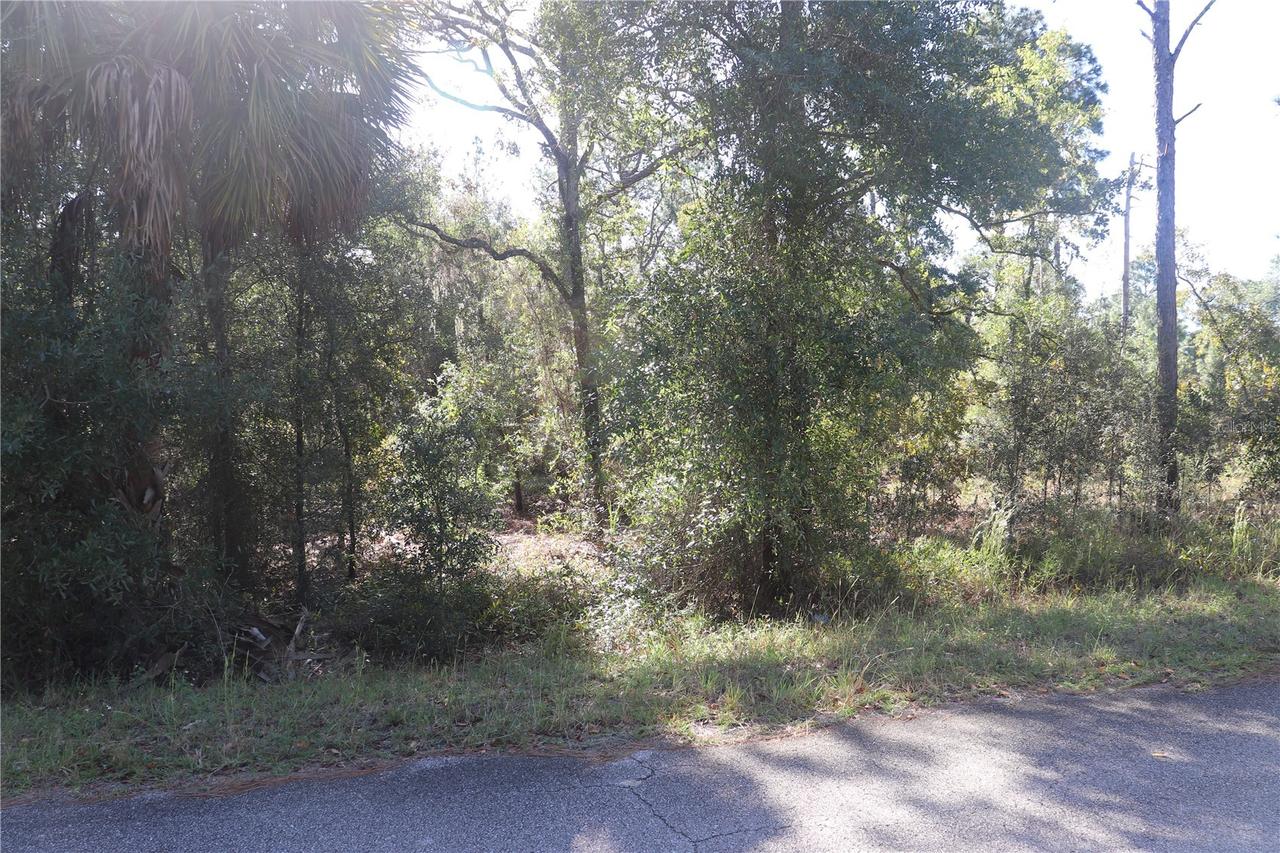 5756 W Connetquot Pl., Dunnellon, FL 34433