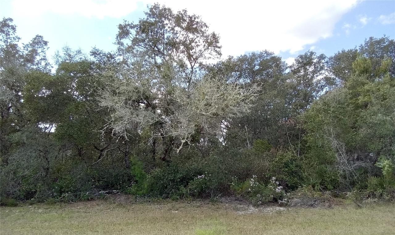 SW 24th Cir., Ocala, FL 34473