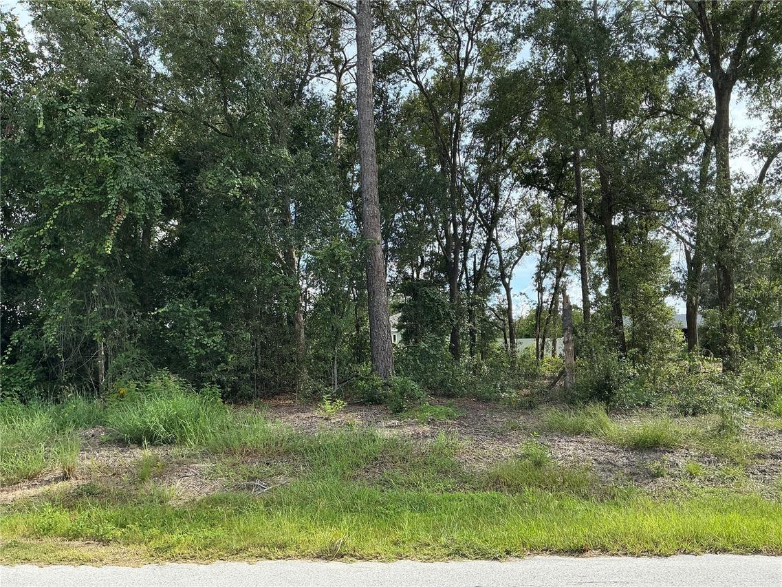 SE 159th Pl., Summerfield, FL 34491
