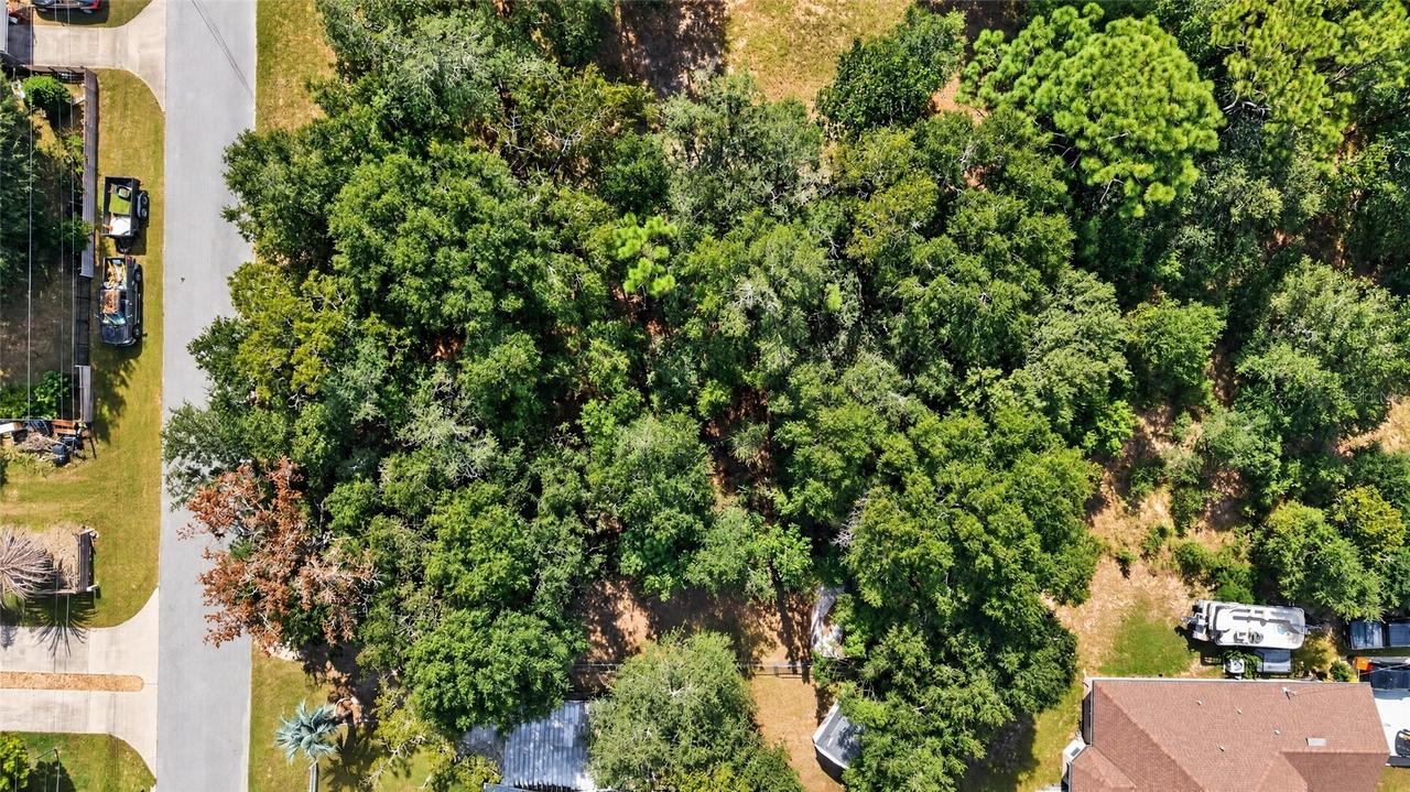 00 SE 91st Ct., Summerfield, FL 34491