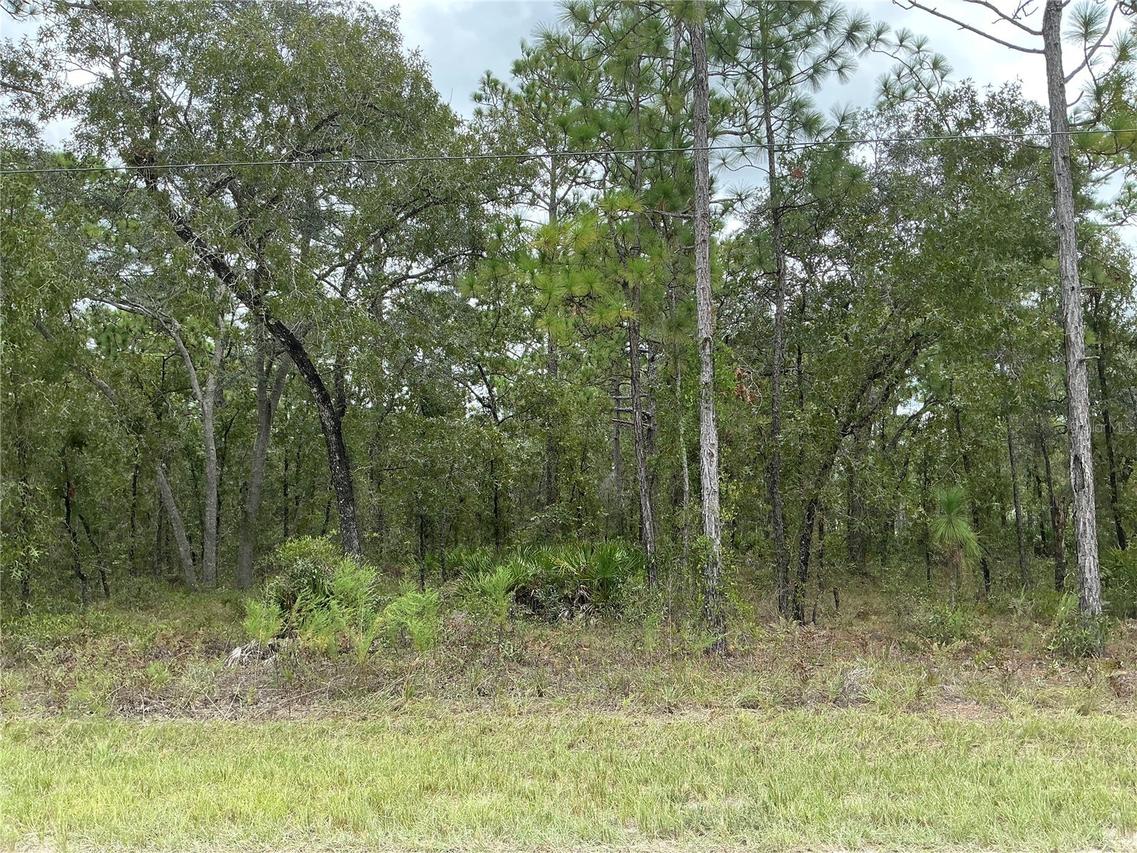 16118 Marsh Quail Rd., Weeki Wachee, FL 34614