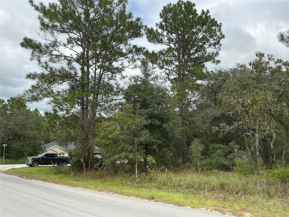 SW 85th Pl., Ocala, FL 34473