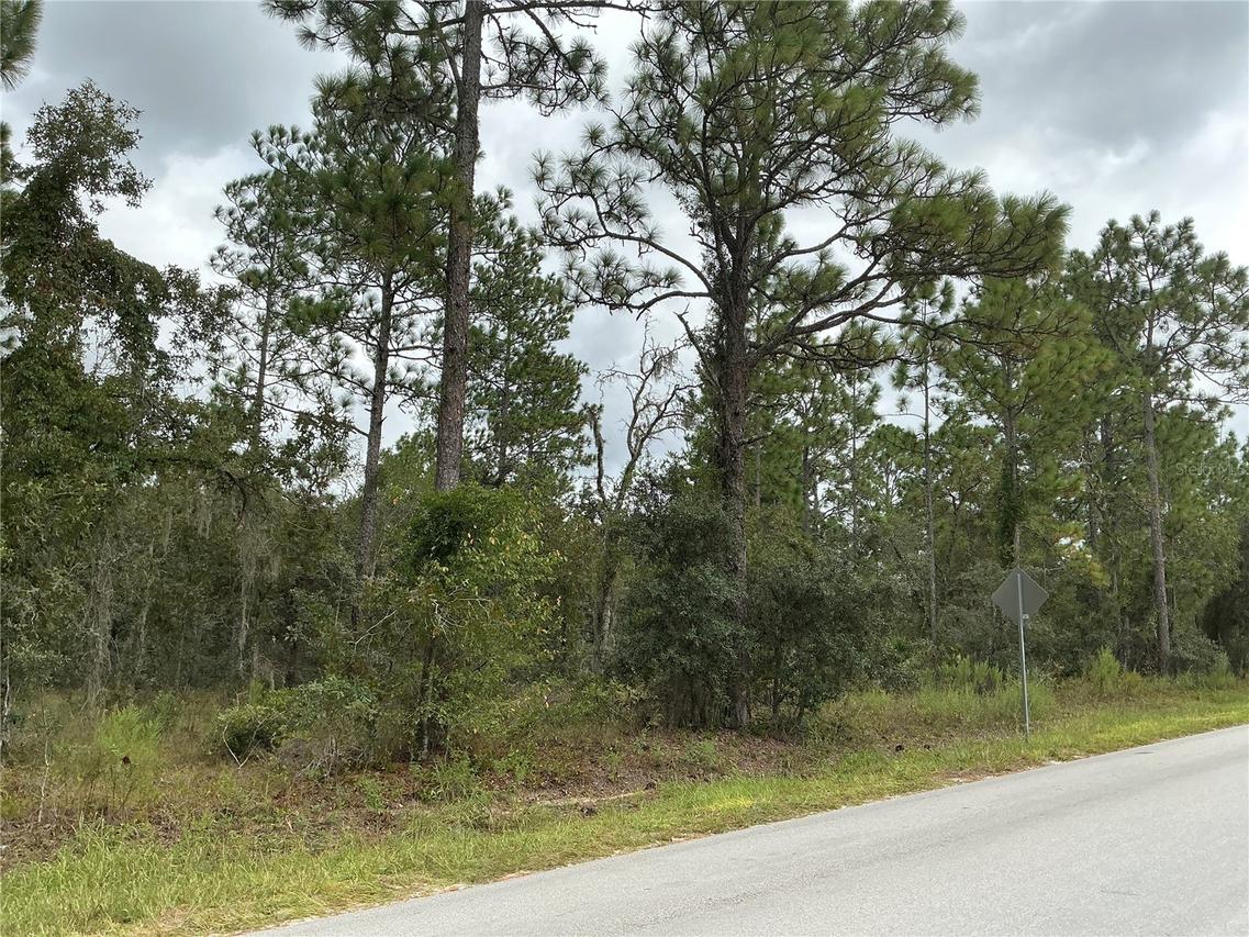 SW 85th Pl., Ocala, FL 34473