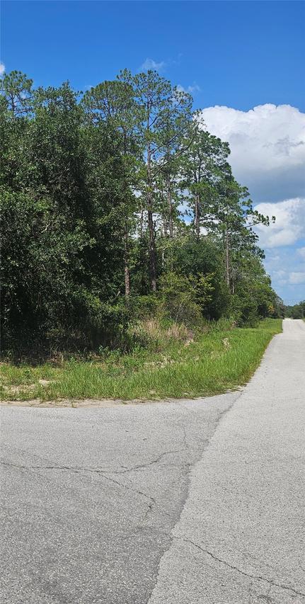 TBD SW Zinnia Ct., Dunnellon, FL 34431