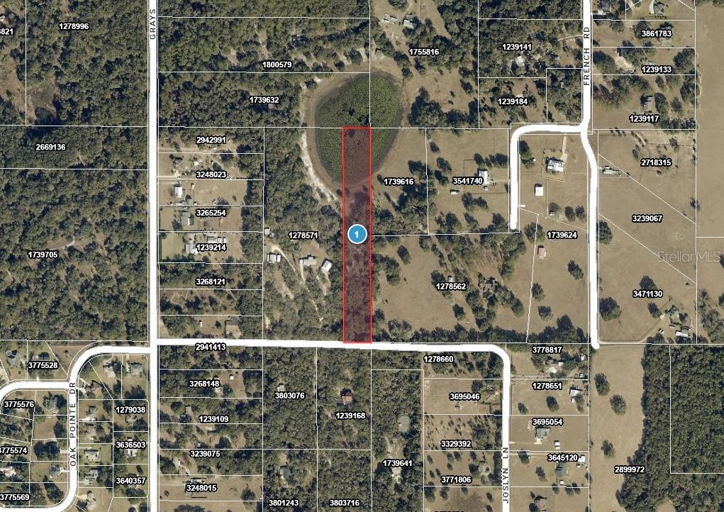 4219 Joslyn Ln., Lady Lake, FL 32159