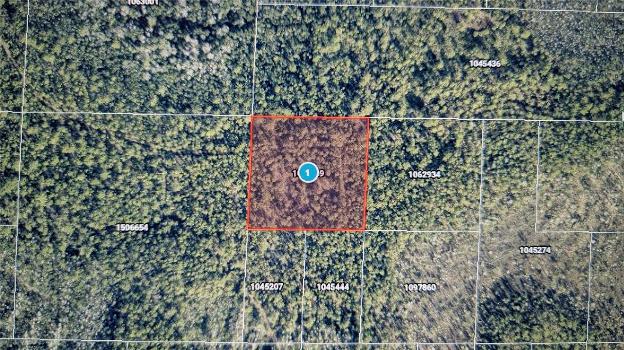 Salyers Rd., Clermont, FL 34711