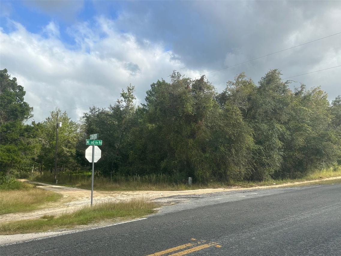 NE 236th St., Salt Springs, FL 32134