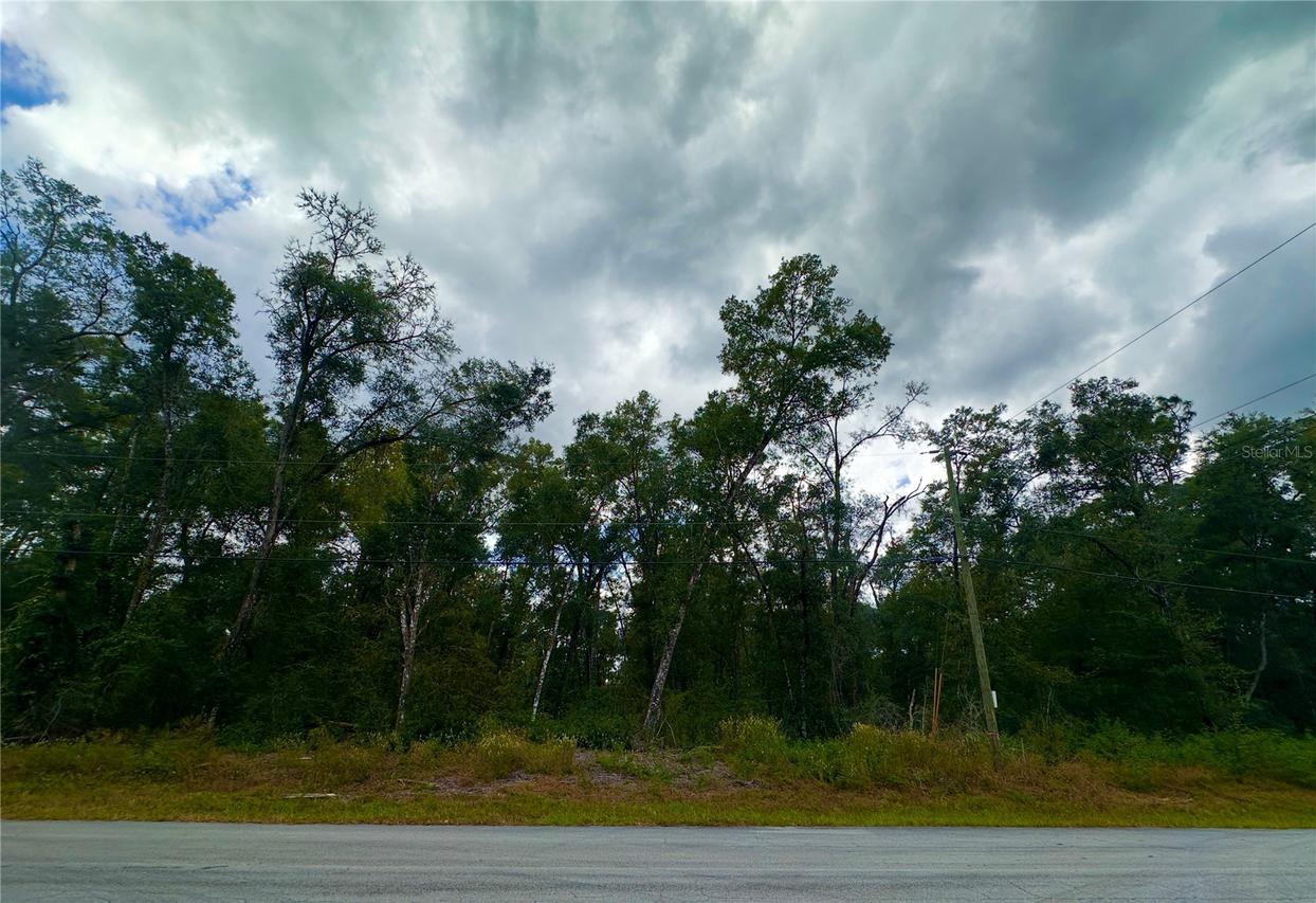 470 E Elgrove Dr., Citrus Springs, FL 34434