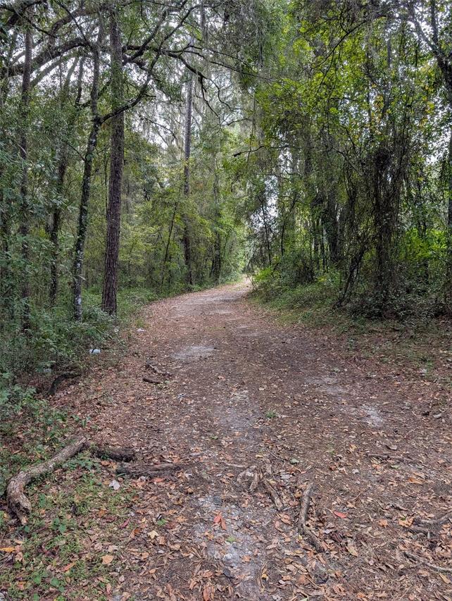 TBD NW Hwy 464b, Morriston, FL 32668