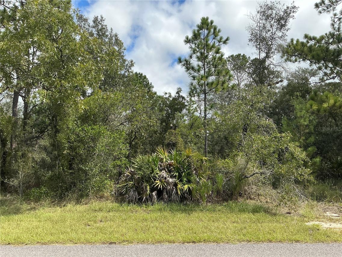 12510 Marbled Godwit Rd., Weeki Wachee, FL 34614