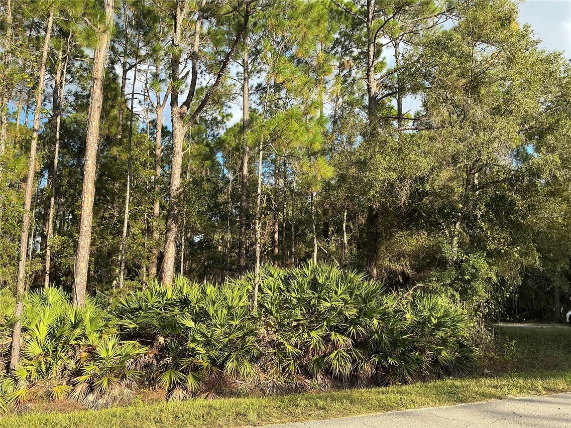1589 Avocado Blvd., Bunnell, FL 32110
