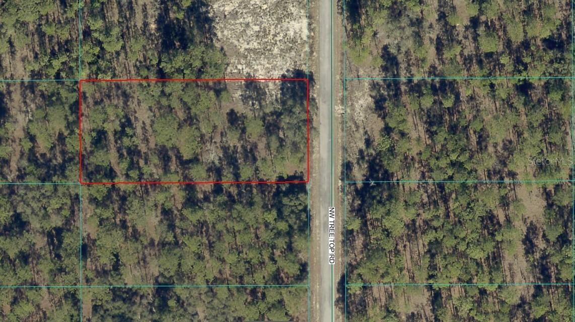 Tree Top Rd., Dunnellon, FL 34432