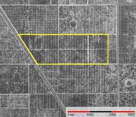 Golfview Cut-off, Lake Wales, FL 33898