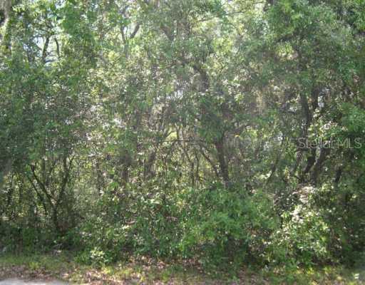 Hartman Rd., Lake Wales, FL 33859