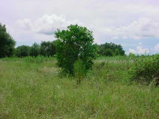 Hwy 27 Minnie Dump Rd., Davenport, FL 33837