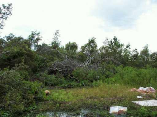 Billy Ct., Lake Wales, FL 33898