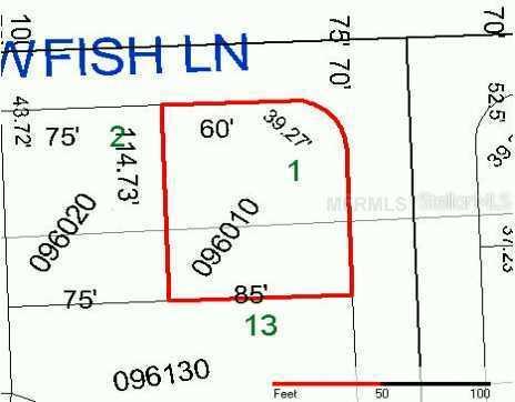 Sawfish Dr., Poinciana, FL 34759