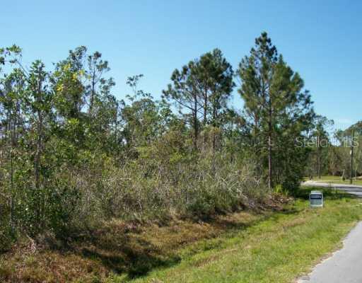 3 Mandy Pl., Lake Wales, FL 33898