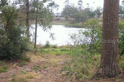 Alturas Road North, Alturas, FL 33820