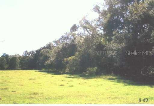 1523 Poe Rd., Dundee, FL 33880