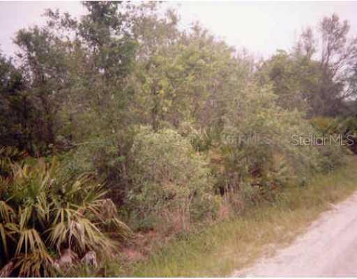 97 Old Grove Tr., Frostproof, FL 33843