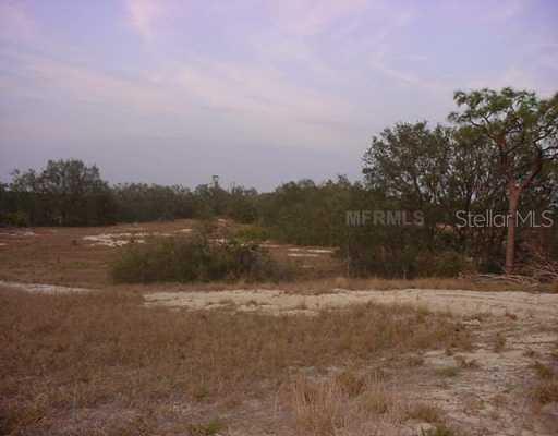 Aldo Road At Golf View Cutoff Rd., Babson Park, FL 33898