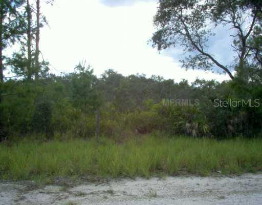 234 R E Byrd Rd., Frostproof, FL 33843