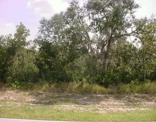 West Lake Marion Road, Haines City, FL 33844