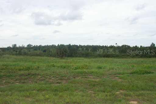 Lake Enderly Estates Lot #1 Dr., Bartow, FL 33830