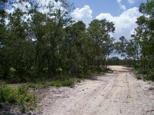 Scrub Jay Tr., Frostproof, FL 33843