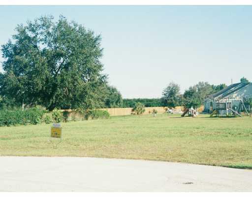 168 Image Ct., Auburndale, FL 33823