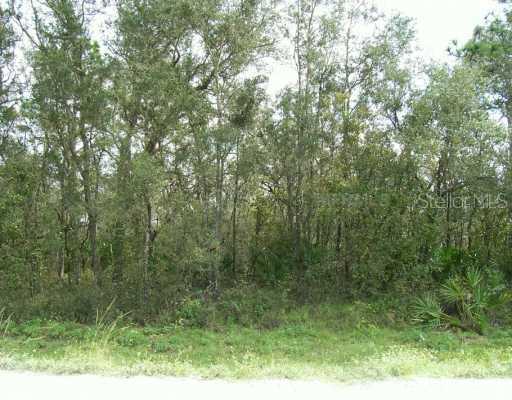 2479 Sand Pine Tr., Frostproof, FL 33843