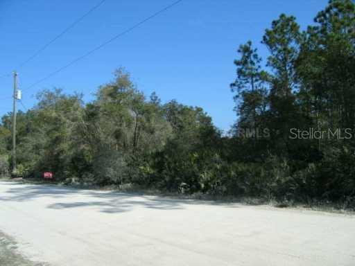 1297 Re Byrd Rd., Frostproof, FL 33843