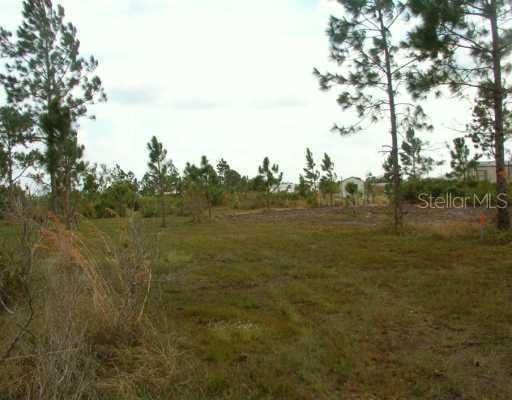 King Ct., Lake Wales, FL 33898