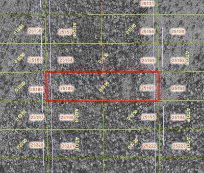 0 Orange Co Acres, Orlando, FL 32820