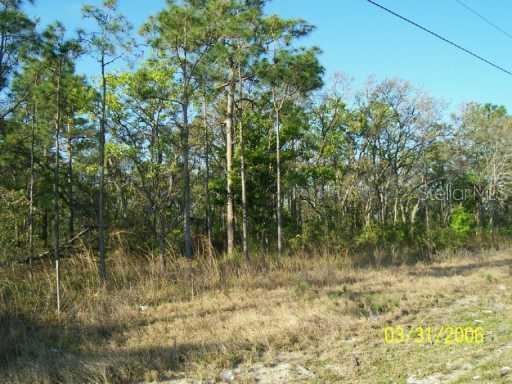 Kokomo Rd., Haines City, FL 33844