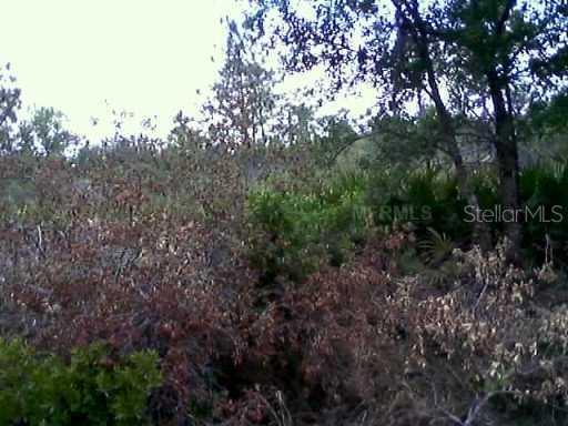 State Road 60 Hwy., Lake Wales, FL 33898