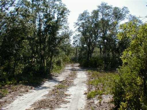 1764 Sils Rd., Lake Wales, FL 33898