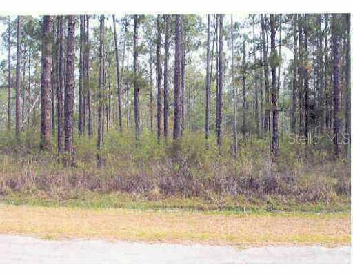 817 Palm Ave., Indian Lake Estates, FL 33855