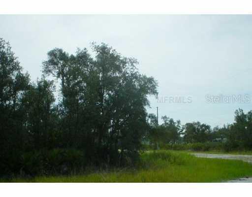 Crows Bluff Ave., Lake Wales, FL 33859