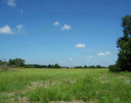 Mammoth Grove Rd., Lake Wales, FL 33898