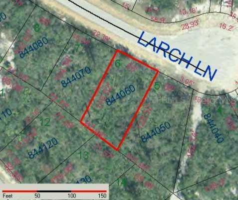 Larch Ln., Poinciana, FL 34759