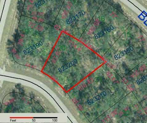 Begonia Ln., Poinciana, FL 34759