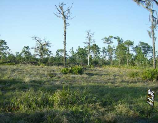Tiger Lake Rd., Lake Wales, FL 33898