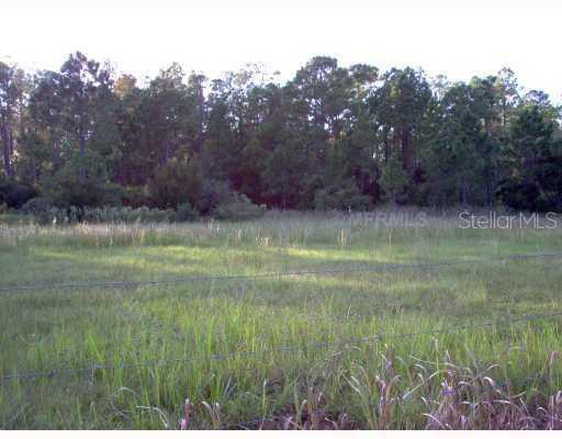 [Address Hidden by Seller], Polk City, FL 33868