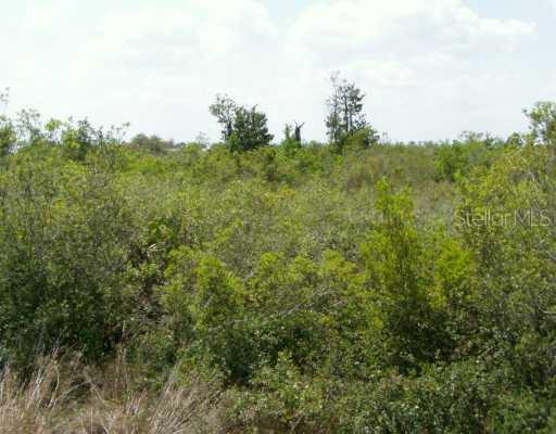 Matecumbe St., Lake Wales, FL 33898