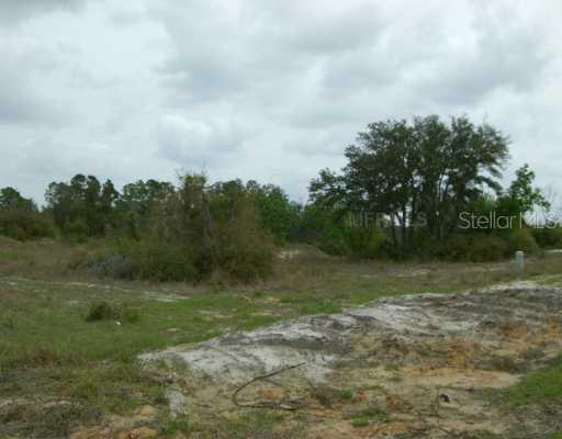 Orchid Blvd., Lake Wales, FL 33898