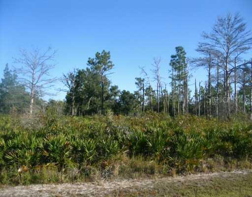 806 Gardenia Dr., Indian Lake Estates, FL 33855