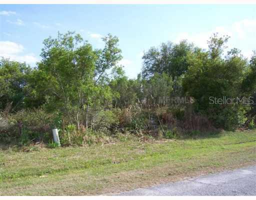 4 Najac Ln., Kissimmee, FL 34759